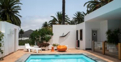 a swimming pool with palm trees